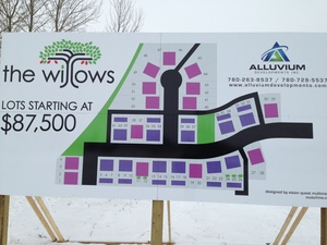 The Willows