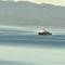 Corvette Landing
